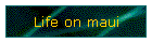 Web Sites